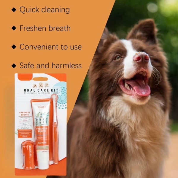 Pet Dental Care Set - Dog & Cat Toothbrush and Toothpaste, Finger Toothbrush, Teeth Cleaning Products, Dental Kit Against Bad Breath (Beef Flavor) - Image 6