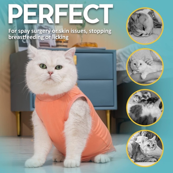 Avont Cat Recovery Suit Post Surgery, Elizabethan Collar & Cone Alternative, Kitten Onesie Pet Surgical Spay Shirt for Abdominal Wounds or Skin Diseases -Coral (S) - Image 5