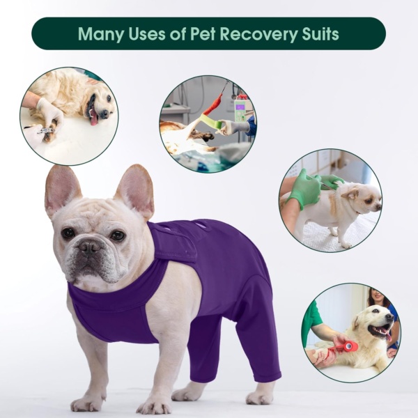Kuoser Dog Recovery Suit - Post Surgery Body Suit with Legs, Comfortable Cone Alternative, Prevent Licking Dog Onesies, Purple S - Image 6