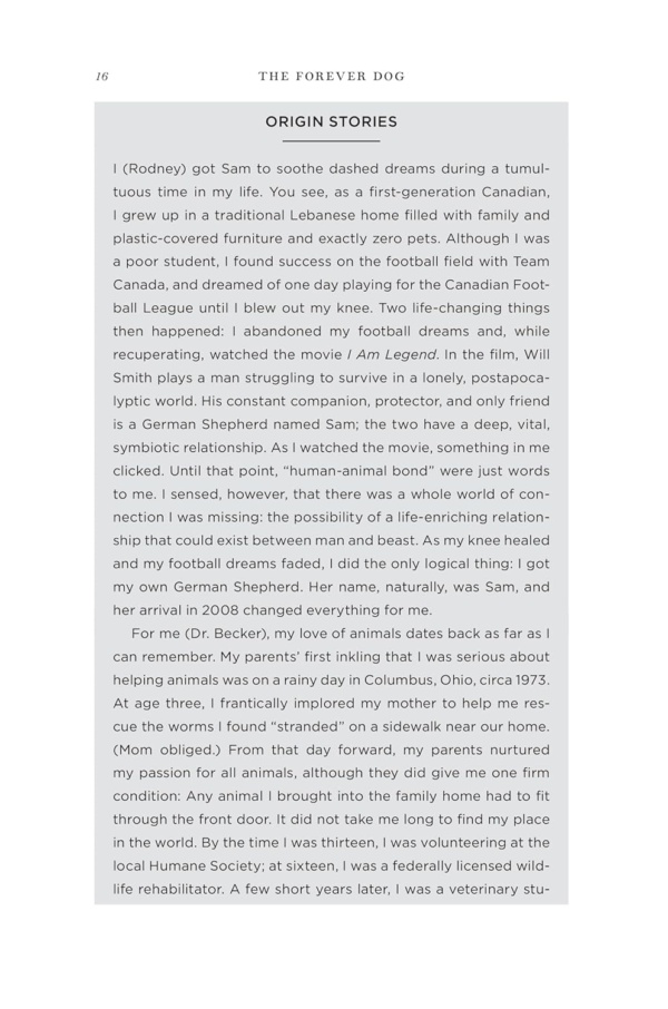 The Forever Dog: The New York Times and Sunday Times Bestselling Dog Care Guide - Image 6