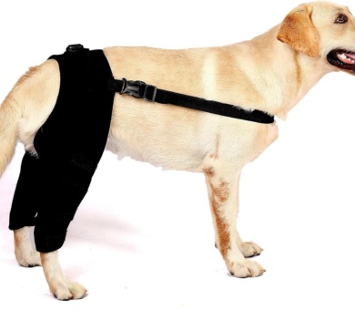 SMALLLEE_LUCKY_STORE Dog Knee Brace for Back Leg Torn ACL Neoprene Canine Stifle Support Hip Hock Joint Compression Wrap Sprains Injury Protection Loss of Stability from Arthritis Relieve Pain