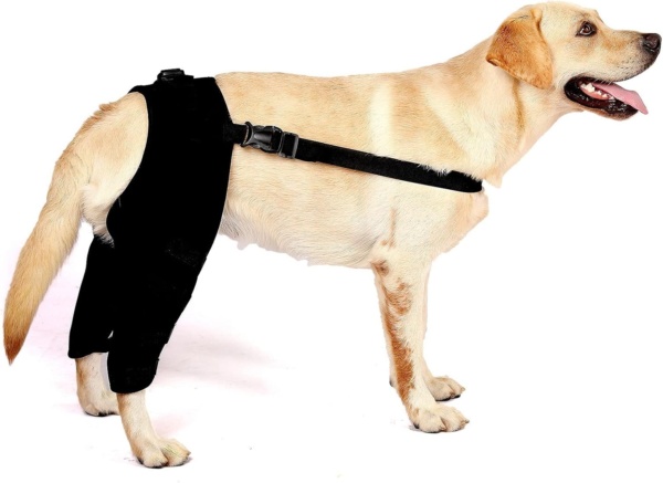 SMALLLEE_LUCKY_STORE Dog Knee Brace for Back Leg Torn ACL Neoprene Canine Stifle Support Hip Hock Joint Compression Wrap Sprains Injury Protection Loss of Stability from Arthritis Relieve Pain