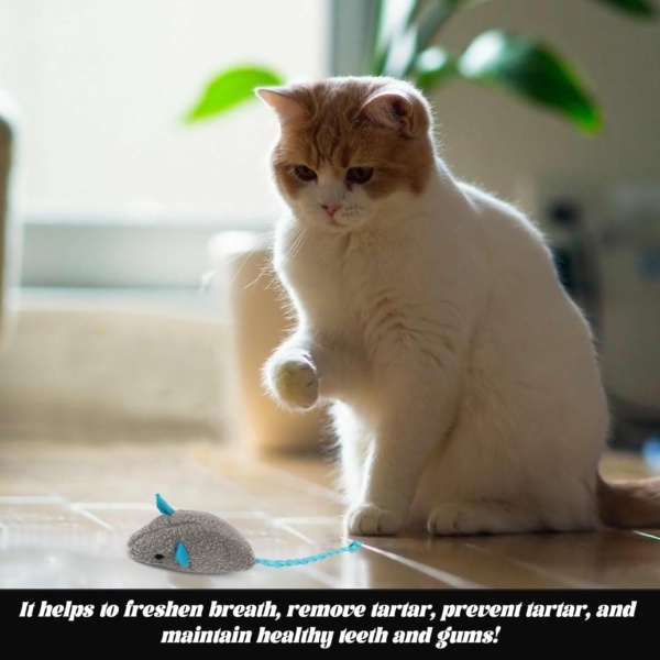 9Pcs Catnip Toys For Cats, Teeth Cleaning Catnip Toys, Cat Dental Treats, For Indoor Kitten Teething And Stress Relief, Effectively Eliminates Dental Plaque And Tartar,Protect Your Pet's Oral Health - Image 5