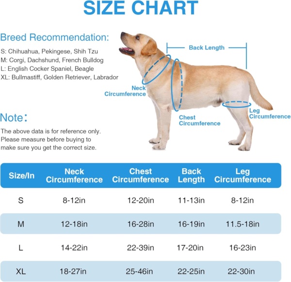 Back Bracer in Large Dogs for IVDD, Arthritis, Spinal Surgical Recovery for Beagle, Dachshund, Reflective Frame Support Harness for Back, Keeps The Back Stable Adjustable Pet Hip Brace Support - Image 6