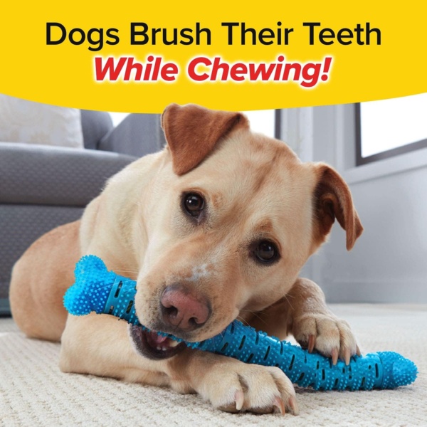 As Seen On TV BrushBone Dog Toothbrush, Dogs Brush Their Teeth While Chewing, Plaque and Tartar Remover for Teeth, Works 3 Ways to Clean, Invented by a Dentist & His Hygienist Wife - Image 2