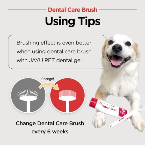 JAYU PET Dental Care Brush (Soft Bristles) - Toothbrush for Cat and Small Dog with Horizontal Head & Easy Grip Handle - Image 8