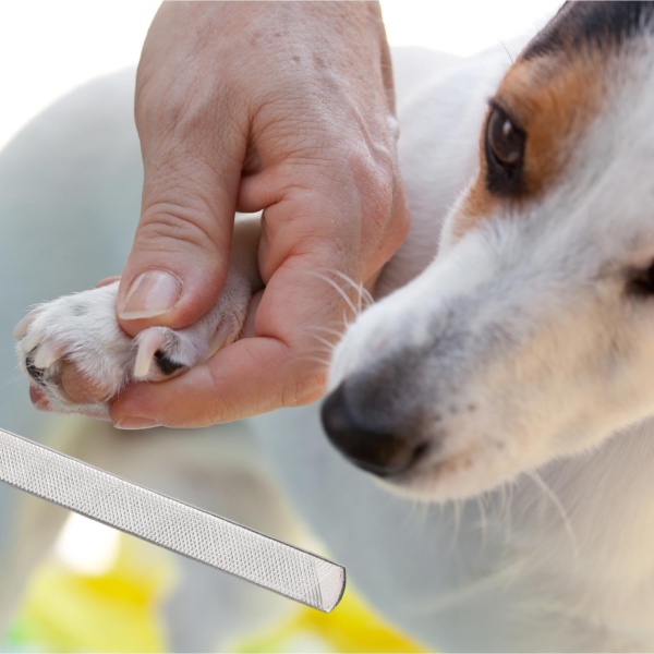 2 Pieces Pet Nail File Pet Nail Claw File Pet Claw Care Tool Stainless Steel Nail Fail Nail Grooming Supplies for Dog Cat Rabbit - Image 5