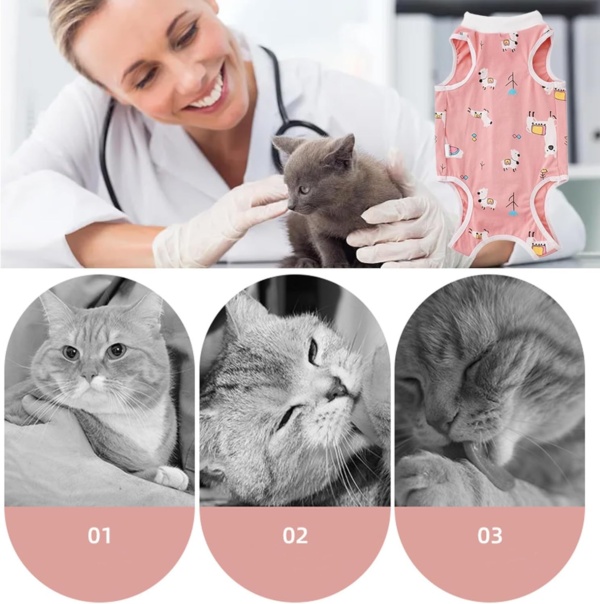 Surgery Recovery Suit for Cats, Anti Licking Cat Recovery Suit, Breathable Cat Onesie, Comfortable Kitten Vest after Spaying, Soft Pet Recovery Bodysuit, for Abdominal Wounds (M) - Image 6