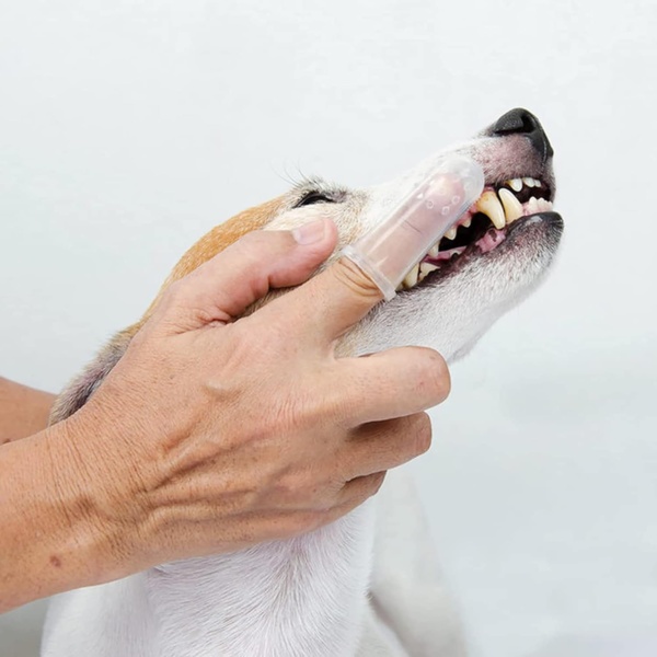 12Pcs Dog Finger Toothbrush Transparent Dog Toothbrush Set Cat Dog Silicone Finger Toothbrush Easy Pets Teeth Cleaning Toothbrush for Dogs Cats Dental Care - Image 5