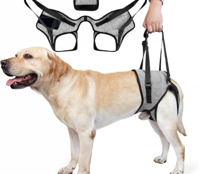 Dog Lifting Harness for Back Legs, Dog Support Harness Slings for Large Medium Small, Adjustable Dogs Brace for Hind Leg, Support Strap for Injured Disabled Elderly Dogs Walking Aid (XL)
