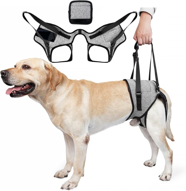 Dog Lifting Harness for Back Legs, Dog Support Harness Slings for Large Medium Small, Adjustable Dogs Brace for Hind Leg, Support Strap for Injured Disabled Elderly Dogs Walking Aid (XL)