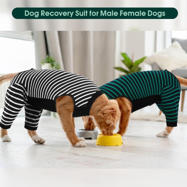 Kuoser Dog Surgery Recovery Suit - Female Hind Legs Post Surgery Body Suit Black 2XL - Image 7