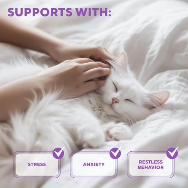 Beloved Pets Calming Pheromone Spray & Scratch Repellent for Cats - Reduces Scratching Furniture, Pee - During Travel, Fireworks, Thunder, Vet Zone - Helps to Relief Stress, Fighting, Hiding (50 ml) - Image 3