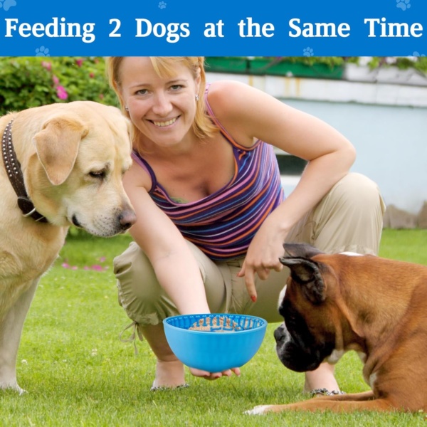 Lick Bowl, Silicone Dog Slow Feeder Bowl, Dog Enrichment Bowl Pet Slow Feeder Bowls for Oral Health Preventing Choking Anxiety Relief Wobble or Stay Put (Blue+Green) - Image 7