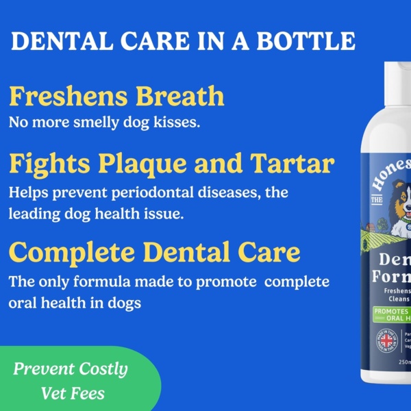 Dog Dental Formula for Water - Dog Breath Freshener in Water - Vet Formulated Dog Mouthwash - Pet Plaque Remover - Easy Daily Use Formula - Dog Teeth Cleaning Products by Honest Dog Co - Image 2