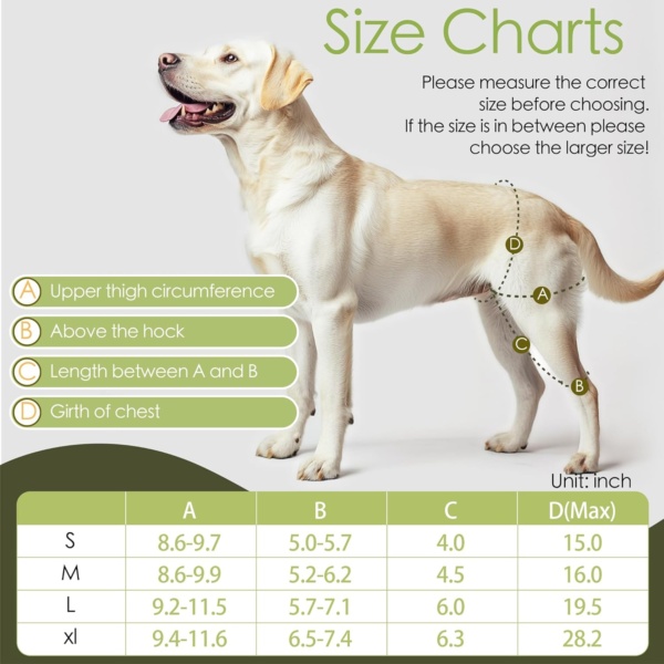 Dog Leg Braces for Back Leg Dog ACL Brace for Torn and Back Hind Rear Legs ACL Tear, Dog Leg Brace for Hip Dysplasia, Dog Arthritis, Luxating Patella(Size L) - Image 4