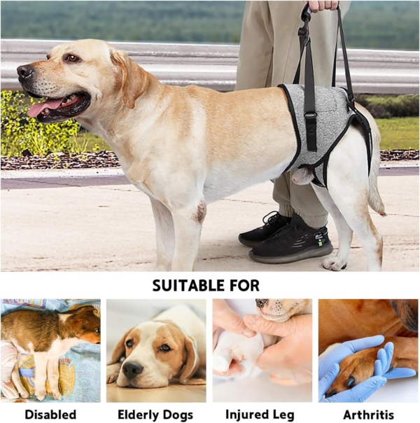 Dog Lifting Harness for Back Legs, Dog Support Harness Slings for Large Medium Small, Adjustable Dogs Brace for Hind Leg, Support Strap for Injured Disabled Elderly Dogs Walking Aid (XL) - Image 5