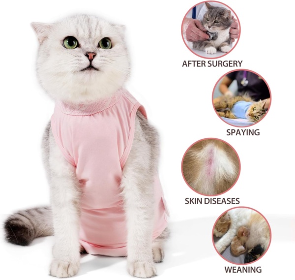 HEYWEAN Cat Recovery Suit Post Surgery Cat Body Suit After Surgery Cat Onesie Stop Licking Cat Medical Vest Spay Suit Cat Surgery Recovery Suit Cat Surgical Suit Protection Suit Kitten Recovery Suit - Image 6