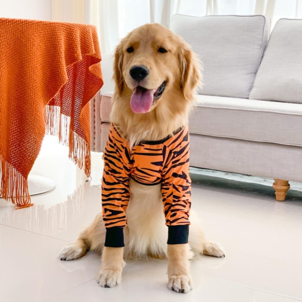 Dog Elbow Protector for Calluses, Dog Joint Recovery Sleeve for Prevent Licking Wound, Elbow Sleeves with Mesh Pad for Medium Large Dogs (L, Tiger) - Image 6