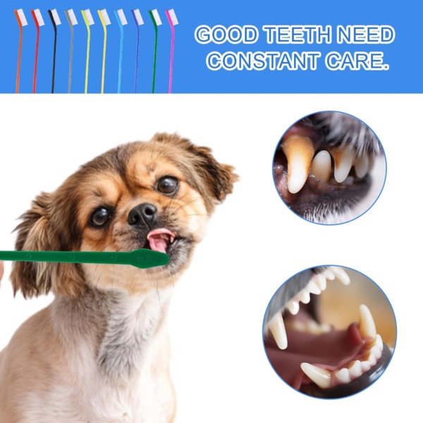 10Pcs Dog Toothbrush Double Headed Brush Dental Teeth Brushes Long Handle Tooth Brush Cleaning Double Head Toothbrush Soft Bristles Oral Care for Small to Large Dogs Cats Pets - Image 5