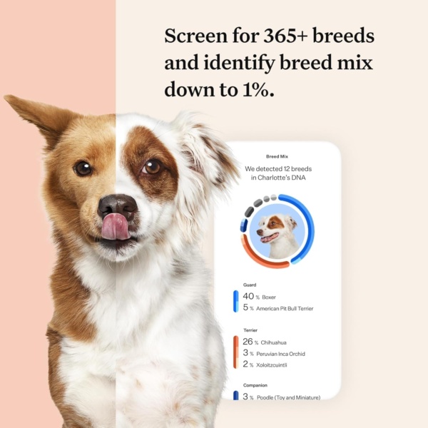 Wisdom Panel Premium: Most Comprehensive Dog DNA Test for 260+ Health Tests | Accurate Breed ID and Ancestry | Traits | Relatives | Behaviours | Vet Consult - Image 3