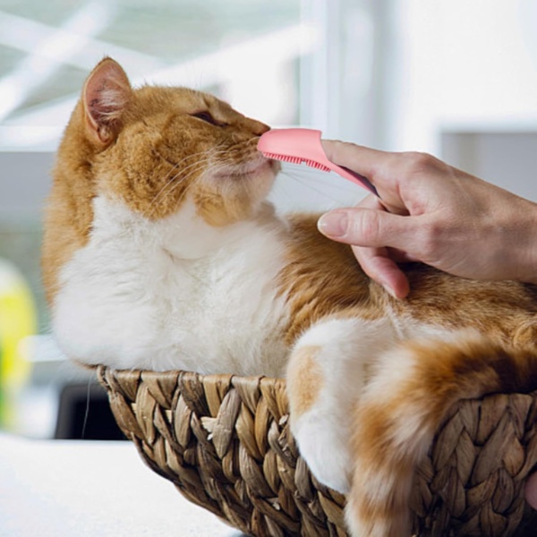 4pcs Pore Brush,25 * 105mm Finger Nose Brush,Gently Cleanses The Skin,Soft Silicone Bristles,Mini Nose Clean Blackheads Skin,Suitable For Dental Care Of Cats,Dogs And Puppies - Image 6