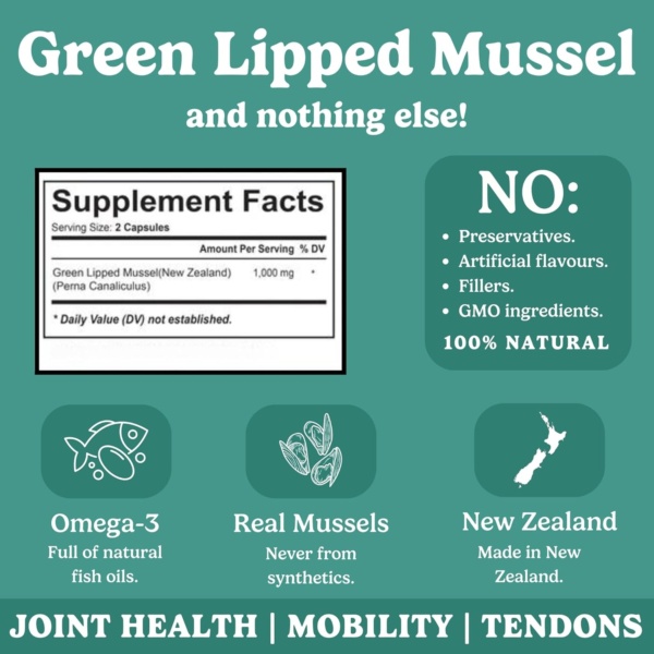 Honest Dog Co. Green Lipped Mussel Powder For Dogs (100 Grams - 150 Servings) Mobility and Flexibility - Hip and Joint Support - Image 4