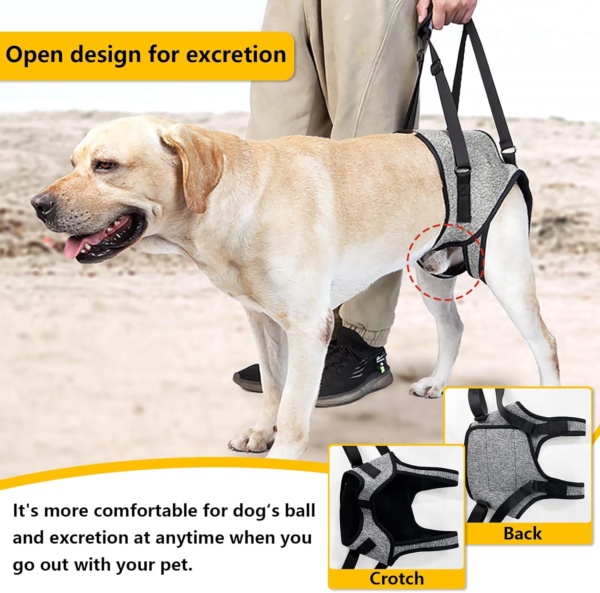 Dog Lifting Harness for Back Legs, Dog Support Harness Slings for Large Medium Small, Adjustable Dogs Brace for Hind Leg, Support Strap for Injured Disabled Elderly Dogs Walking Aid (XL) - Image 4