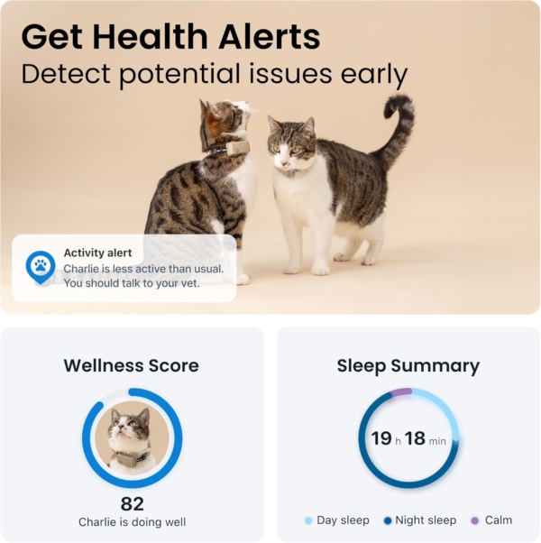 Tractive Mini GPS Cat Tracker | Market Leader | Real-Time Location Tracking | Location History | Health Alerts | Activity Monitoring | Collar included | Works With Subscription (Brown) - Image 3