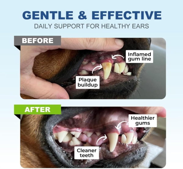 Dogs Teeth Cleaning Wipes, Dog Dental Finger Wipe for Dog & Cats Care Reduces Plaque & Freshens Breath, Disposable Dogs Finger Toothbrush Gentle Pet Dental（60 Counts） - Image 3