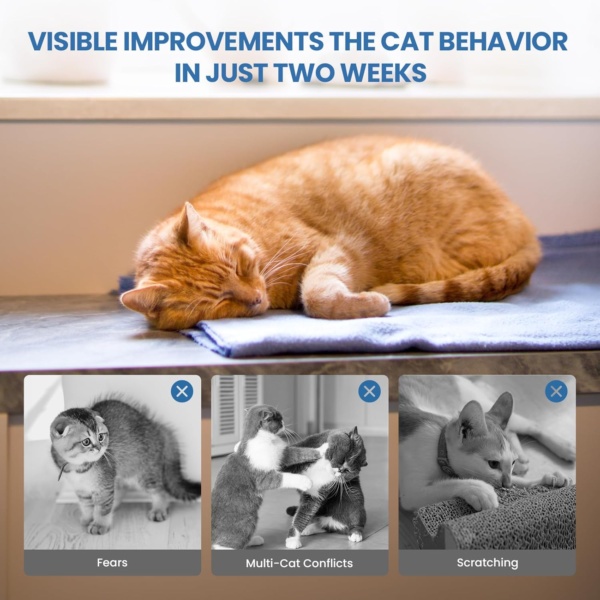 Cat Calming Plug-in, Cat Pheromone Diffuser, 4-in-1 Cat Pheromones Calming Diffuser Kit, Relaxing Pheromone for Cats Relief Stress Anxiety Fighting Scratching, 2 Diffuser 2 Refills(48ml) - Image 5