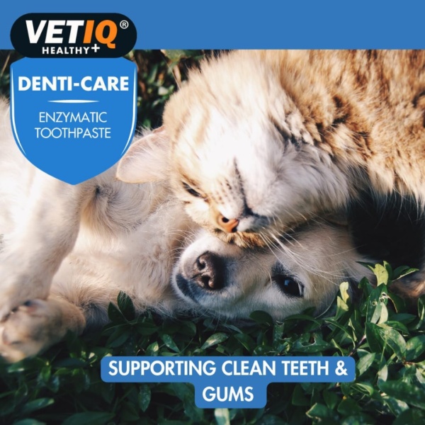 VETIQ Denti-Care Enzymatic Toothpaste Twin Pack for Cats 3+ Months & Dogs 2+ Months, Designed to Help Clean Teeth, Support Gum Health & Freshen Breath (2 x 70 g) - Image 5