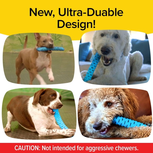 As Seen On TV BrushBone Dog Toothbrush, Dogs Brush Their Teeth While Chewing, Plaque and Tartar Remover for Teeth, Works 3 Ways to Clean, Invented by a Dentist & His Hygienist Wife - Image 8