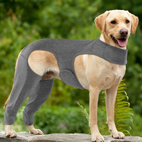 Dog Surgery Recovery Suit - Leg Wound Protector Brace, Comfortable Elbow Protector Cone Alternative - Prevent Licking & Bite - Long Sleeve Suits - Leg Brace Support (Grey, XL) - Image 7