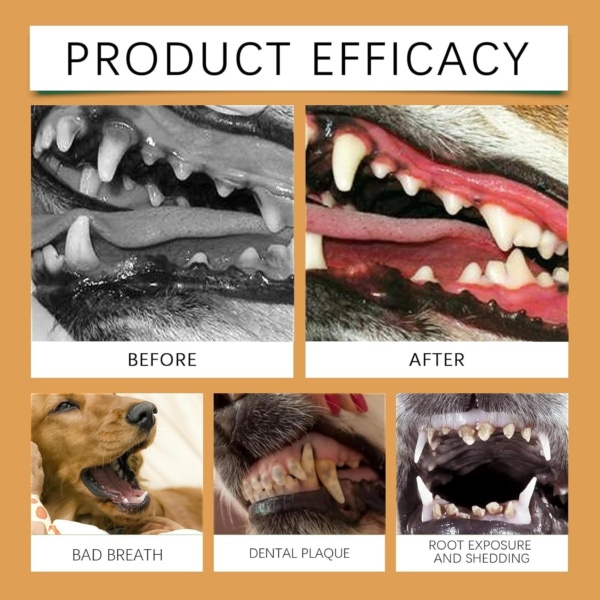 Pet Dental Care Set - Dog & Cat Toothbrush and Toothpaste, Finger Toothbrush, Teeth Cleaning Products, Dental Kit Against Bad Breath (Beef Flavor) - Image 2