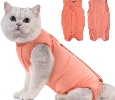 Avont Cat Recovery Suit Post Surgery, Elizabethan Collar & Cone Alternative, Kitten Onesie Pet Surgical Spay Shirt for Abdominal Wounds or Skin Diseases -Coral (S)