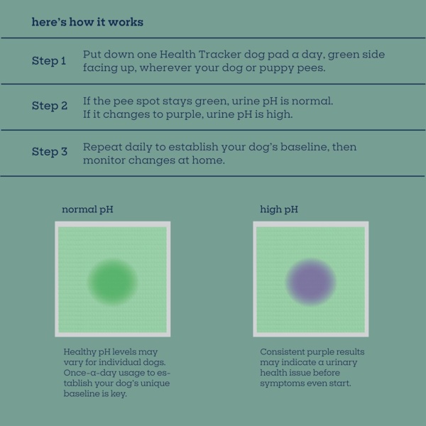 Health Tracker Large Puppy Pads, Pee Pads for Dogs, Dog Training Pads - pH Responsive Color-Track Technology Detects Common Health Issues - 22" x 22" - 20 Count (L) - Image 4