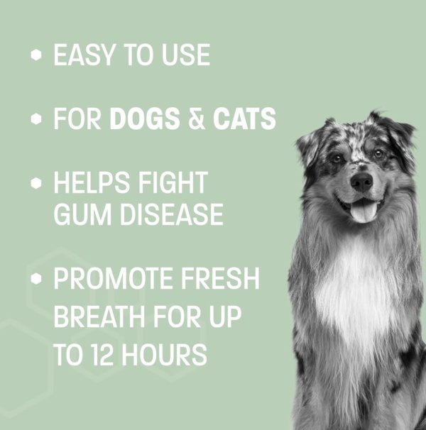 Dog Breath Water Additive - Cat & Dog Water Additive for Dental Care - Dog Dental Water Additive for Dogs Teeth and Bad Breath Treatment for Dogs and Cats - Odorless & Tasteless - 8 oz - Image 4