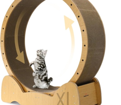 Homegroove Cat Exercise Wheel with Scratching Pad, 43 Inch Large Cat Wheels for Indoor Cats,Versatile Cat Running Wheel Treadmill for Cat's Weight Loss and Health (XL)