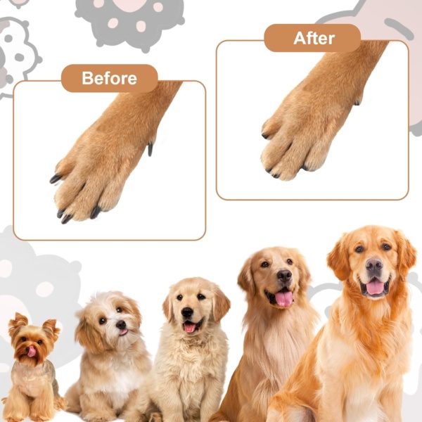 Dog Nail File with 6Pcs Replaceable Filing Disc, Dog Scratch Board for Safe and Easy Nail Care, Dog Nail Scratch Board Ensures Smooth and Healthy Nails for Dogs and Cats - Image 5