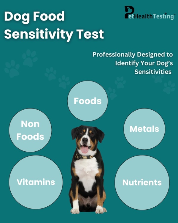Dog Sensitivity Test Kit | Accurate For All Breeds and Ages | Easy To Use | Non-Invasive Fur Sample | 375 Item Test | Personalised Results Report in 3 Days | UK Based - Image 4