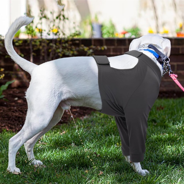 Kuoser Dog Recovery Suit - Female Foreleg Surgical Suit, Blue - Image 6