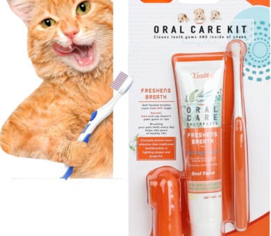 Pet Dental Care Set - Dog & Cat Toothbrush and Toothpaste, Finger Toothbrush, Teeth Cleaning Products, Dental Kit Against Bad Breath (Beef Flavor)