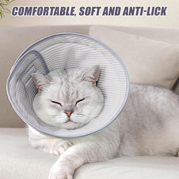 1 Piece Cat Collar, Pet Breathable Collar, Foldable Pet Collar, Pet Anti-Licking Collar, Pet Supplies - Image 6
