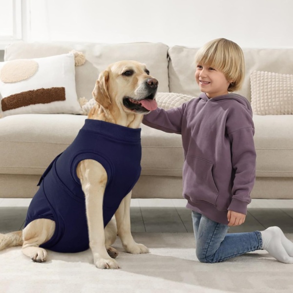 Kuoser M Dog Surgery Recovery Suit, Dog Recovery Suit Female Male Dog Surgical Recovery Vest Dog Post Surgery Body Suit Adjustable Onesies Dog Body Suit after Surgery, Blue - Image 7
