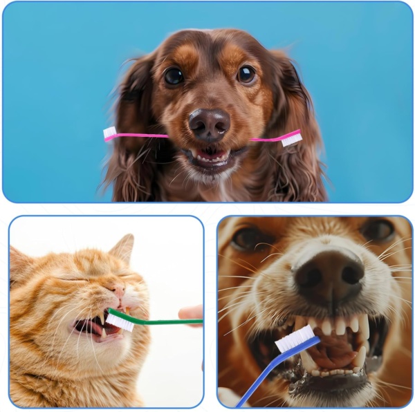 10Pcs Dog Toothbrush Double Headed Brush Dental Teeth Brushes Long Handle Tooth Brush Cleaning Double Head Toothbrush Soft Bristles Oral Care for Small to Large Dogs Cats Pets - Image 6