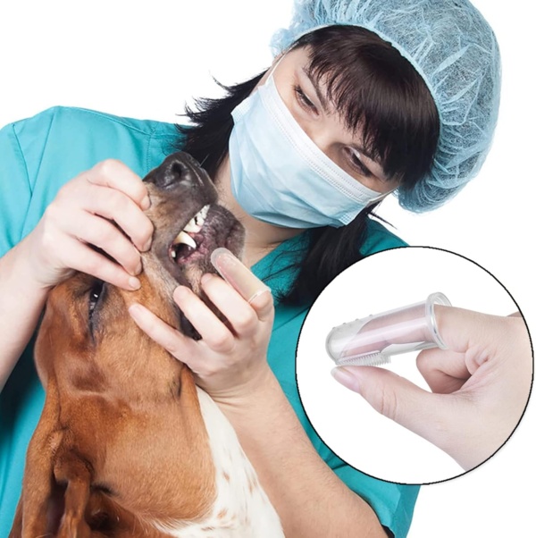 12Pcs Dog Finger Toothbrush Transparent Dog Toothbrush Set Cat Dog Silicone Finger Toothbrush Easy Pets Teeth Cleaning Toothbrush for Dogs Cats Dental Care - Image 4