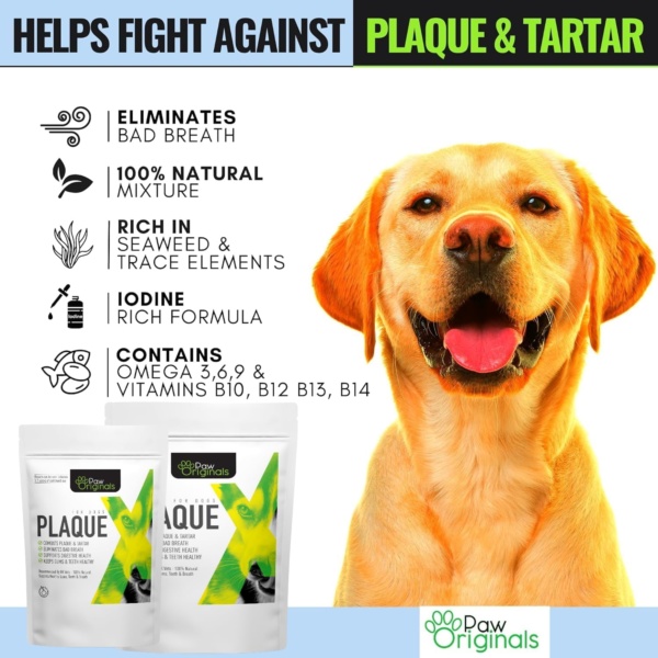 NEW 200G - Plaque X 100% Natural Plaque Off & Tartar Remover For Dogs & Cats | Breath Freshener For Dogs, Cats & Pets | | No Toothbrush & Supports Gum & Teeth Health - Image 3