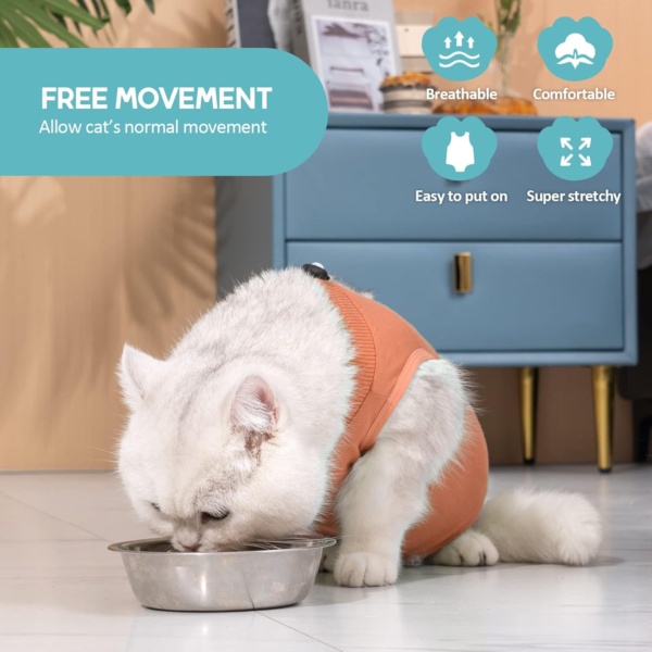 Avont Cat Recovery Suit Post Surgery, Elizabethan Collar & Cone Alternative, Kitten Onesie Pet Surgical Spay Shirt for Abdominal Wounds or Skin Diseases -Coral (S) - Image 3