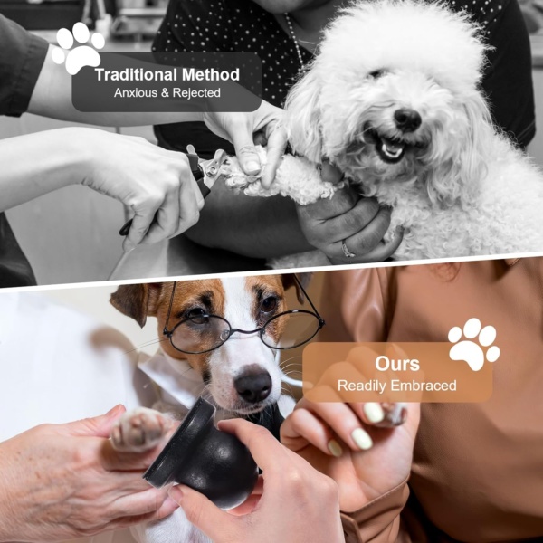 Dog Nail File with 6Pcs Replaceable Filing Disc, Dog Scratch Board for Safe and Easy Nail Care, Dog Nail Scratch Board Ensures Smooth and Healthy Nails for Dogs and Cats - Image 6